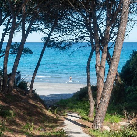 Apartament I Pini Di Fuile 'E Mare Orosei Zewnętrze zdjęcie